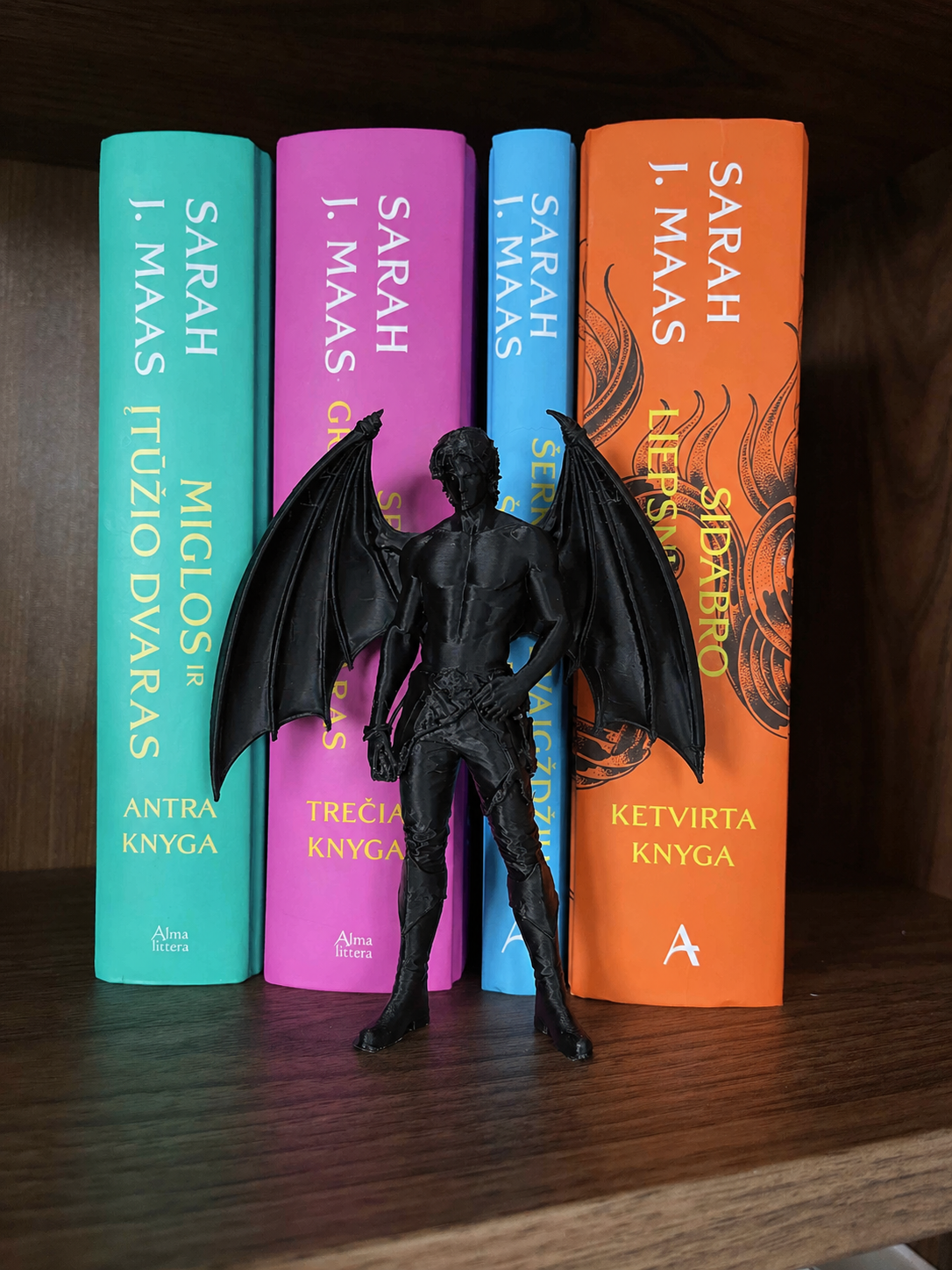 Knygų lentynos dekoracija „ACOTAR Bat Boys“