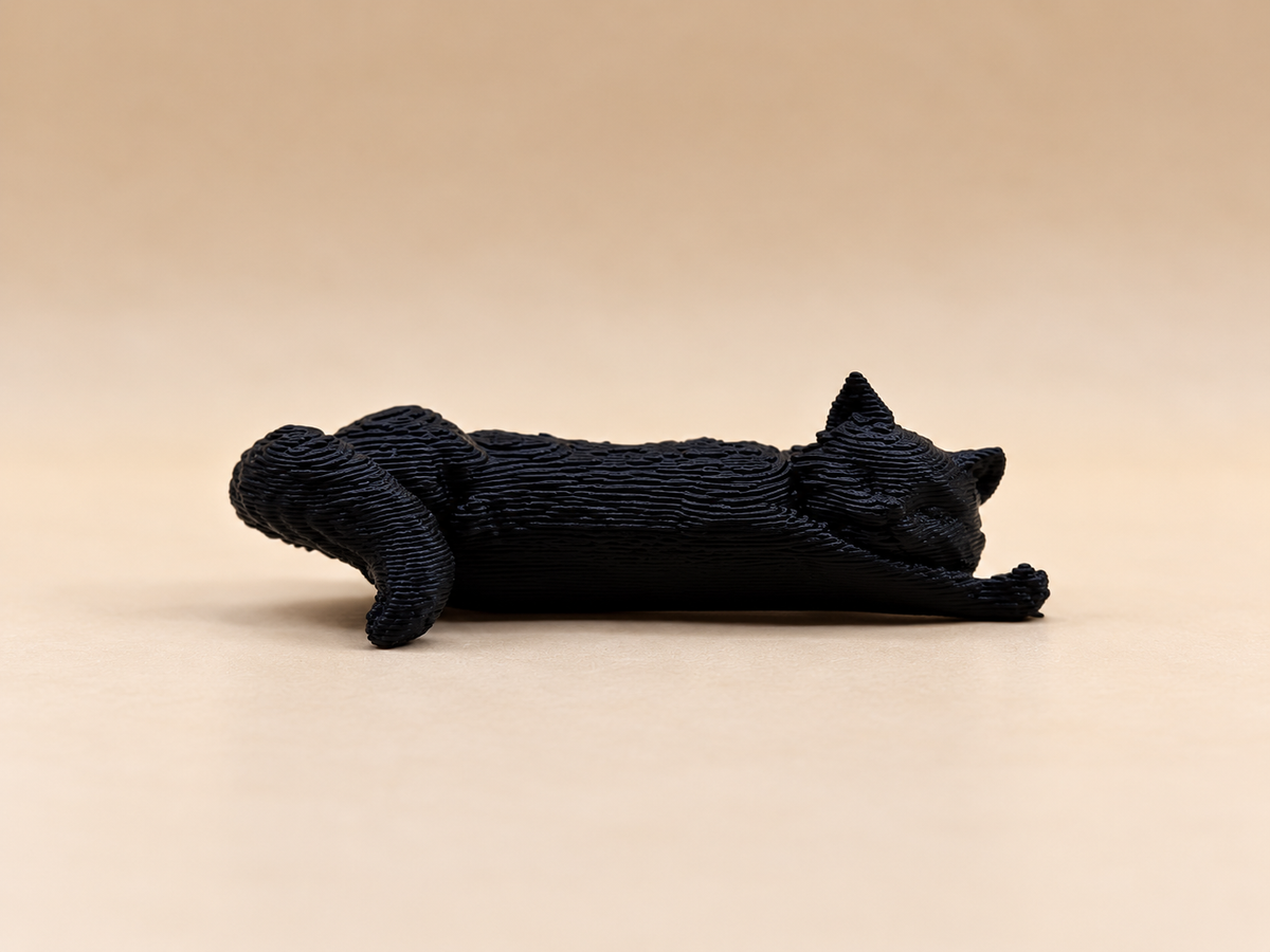 Sleeping Cat