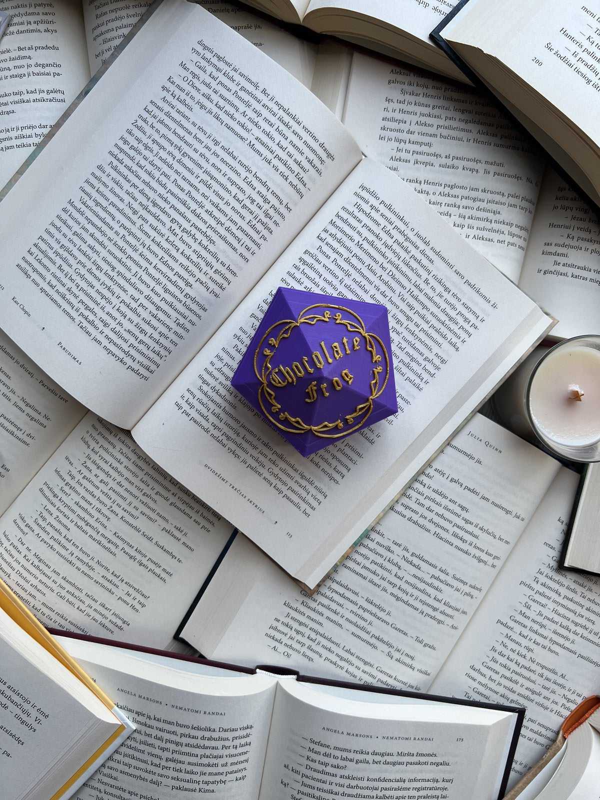 Šokoladinis varliukas su dėžute (Harry Potter)
