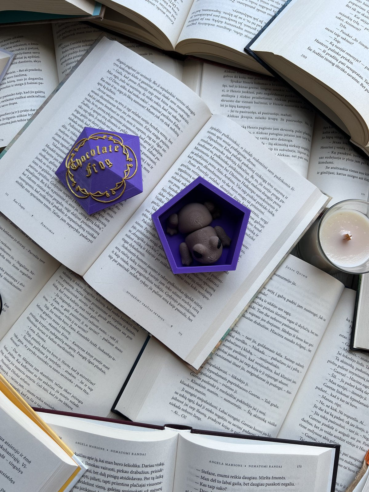 Šokoladinis varliukas su dėžute (Harry Potter)