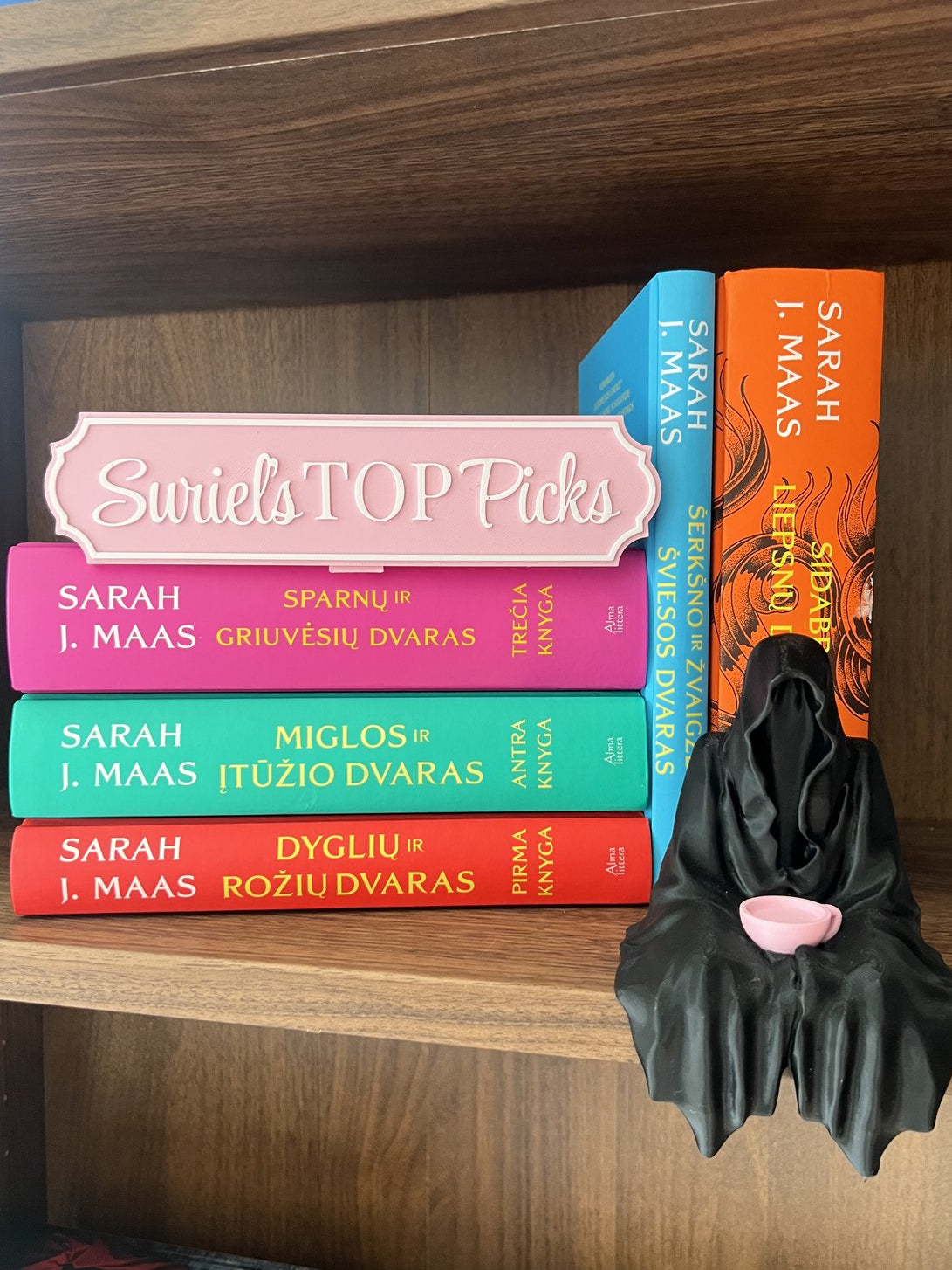 Knygų lentynos ženkliukas (Pirk 4, Mokėk už 3)