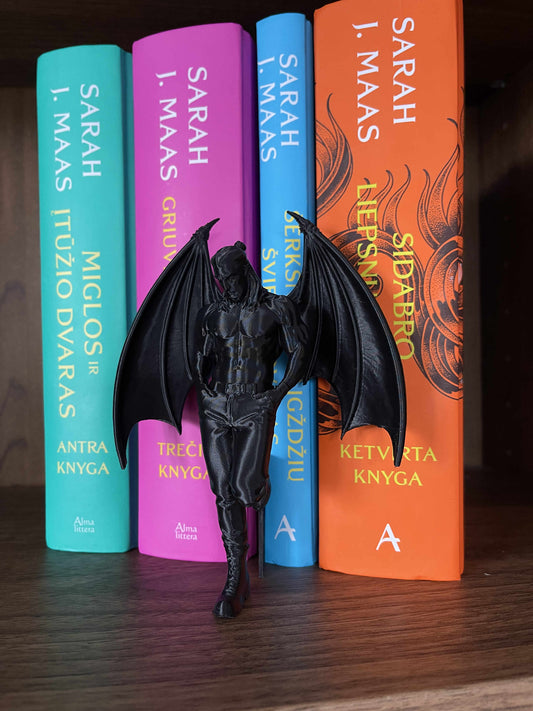 Knygų lentynos dekoracija „ACOTAR Bat Boys“