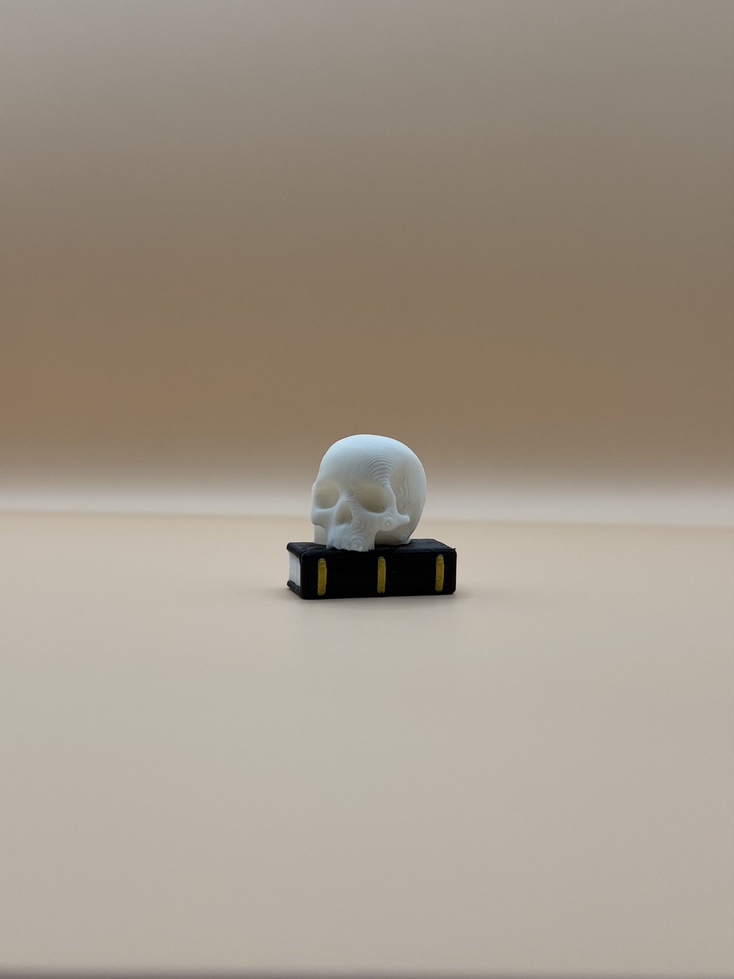 Skull & Book