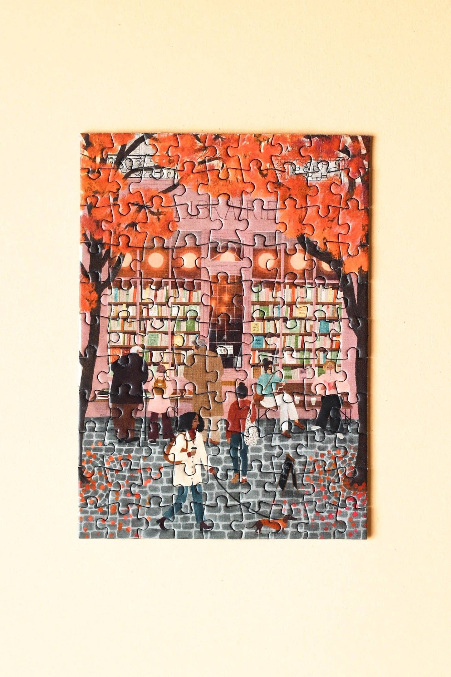 Mini dėlionė „Knygynas“, 99 detalės