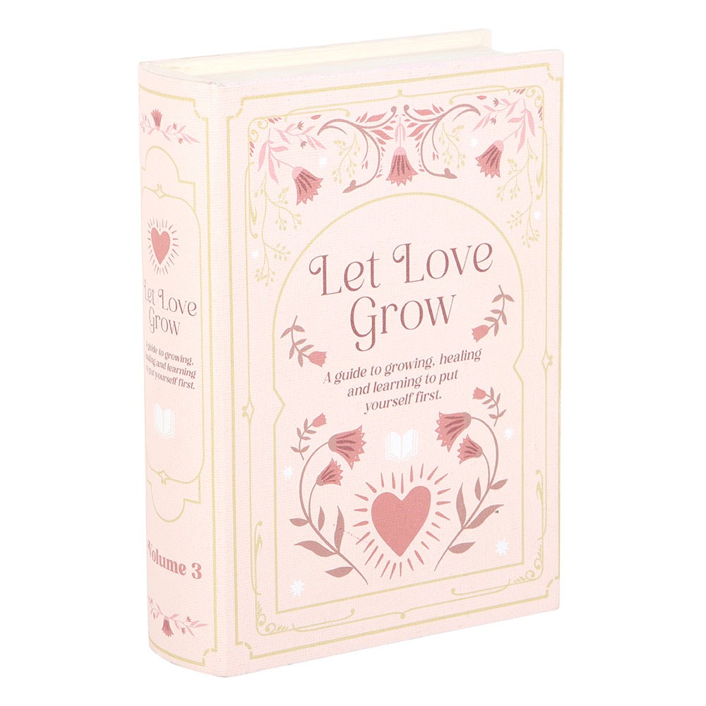 Laikymo dėžutė „Pink Book“