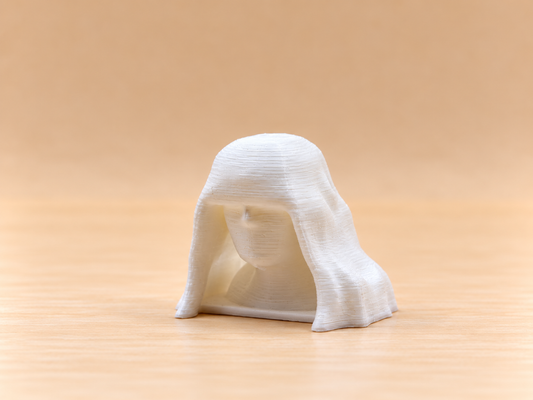 Veiled Lady