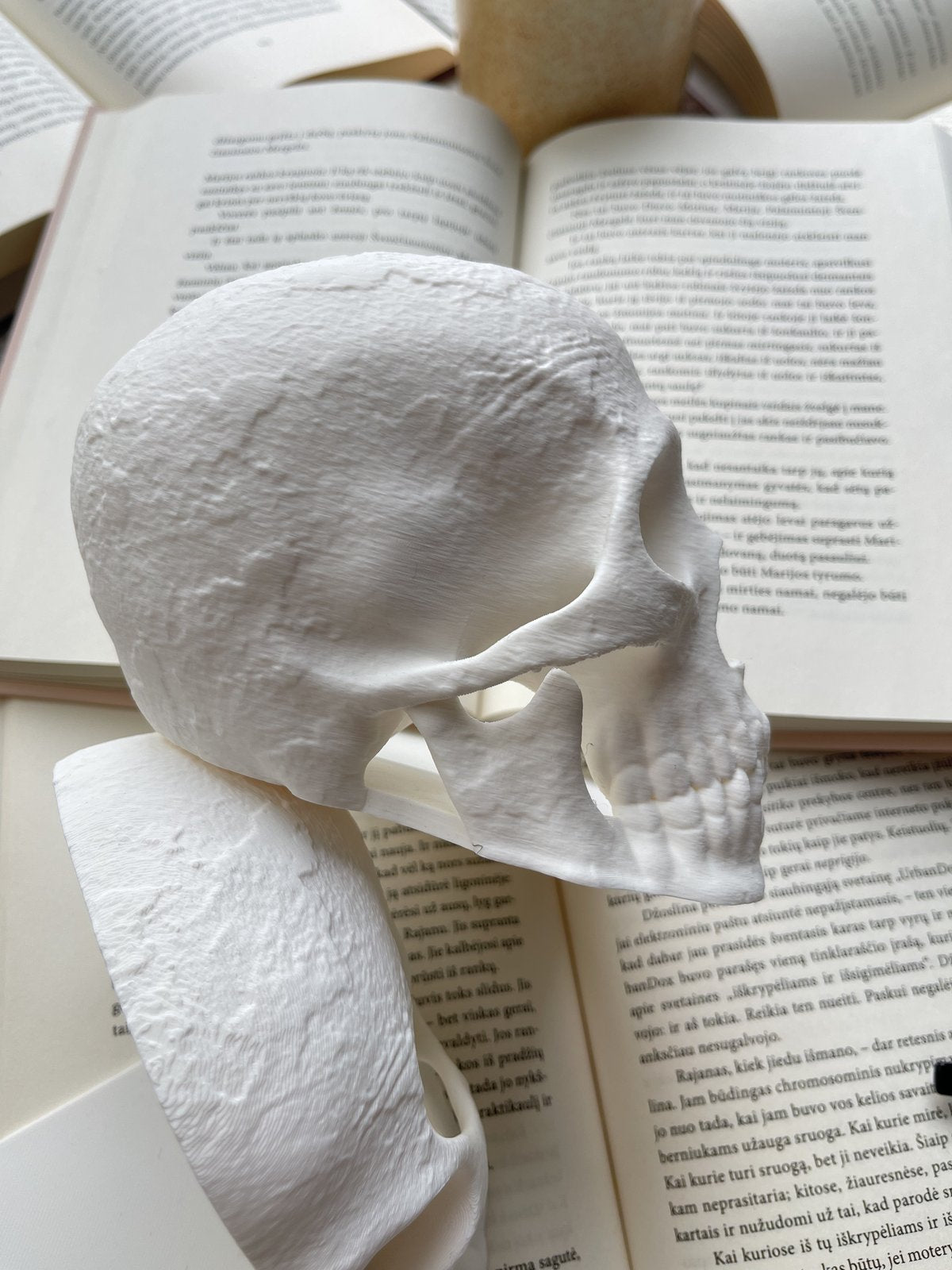 Knygų atrama „Memento“