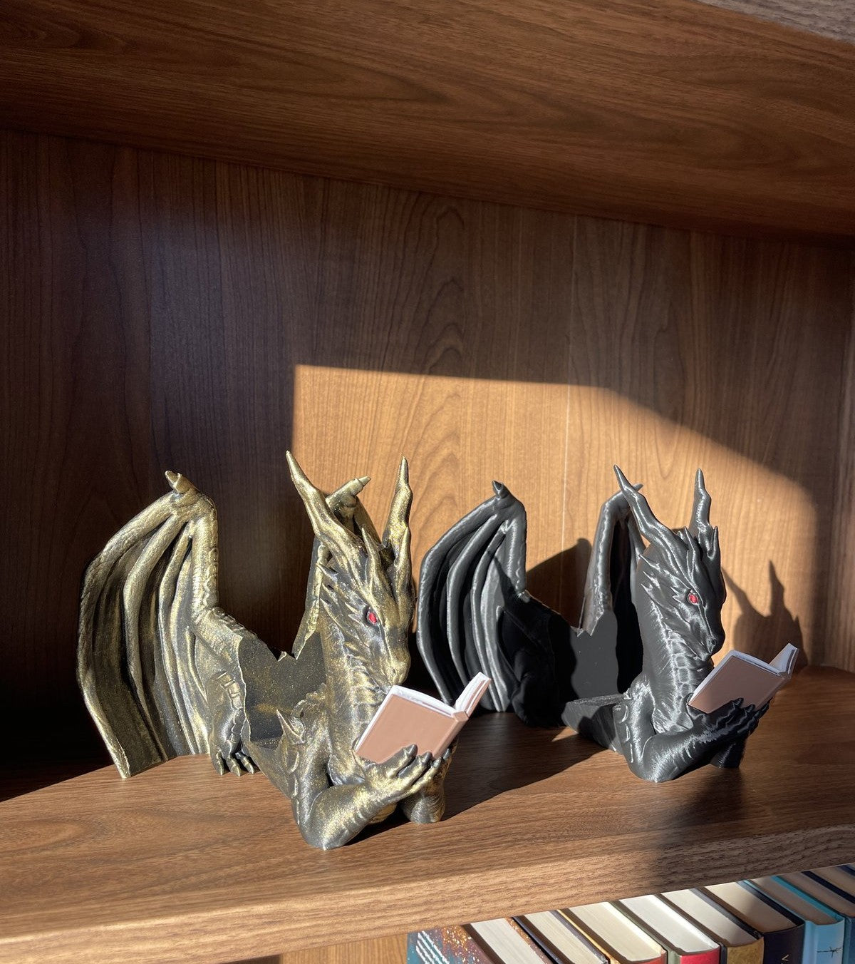 Knygos stovas „Dragon Reader“