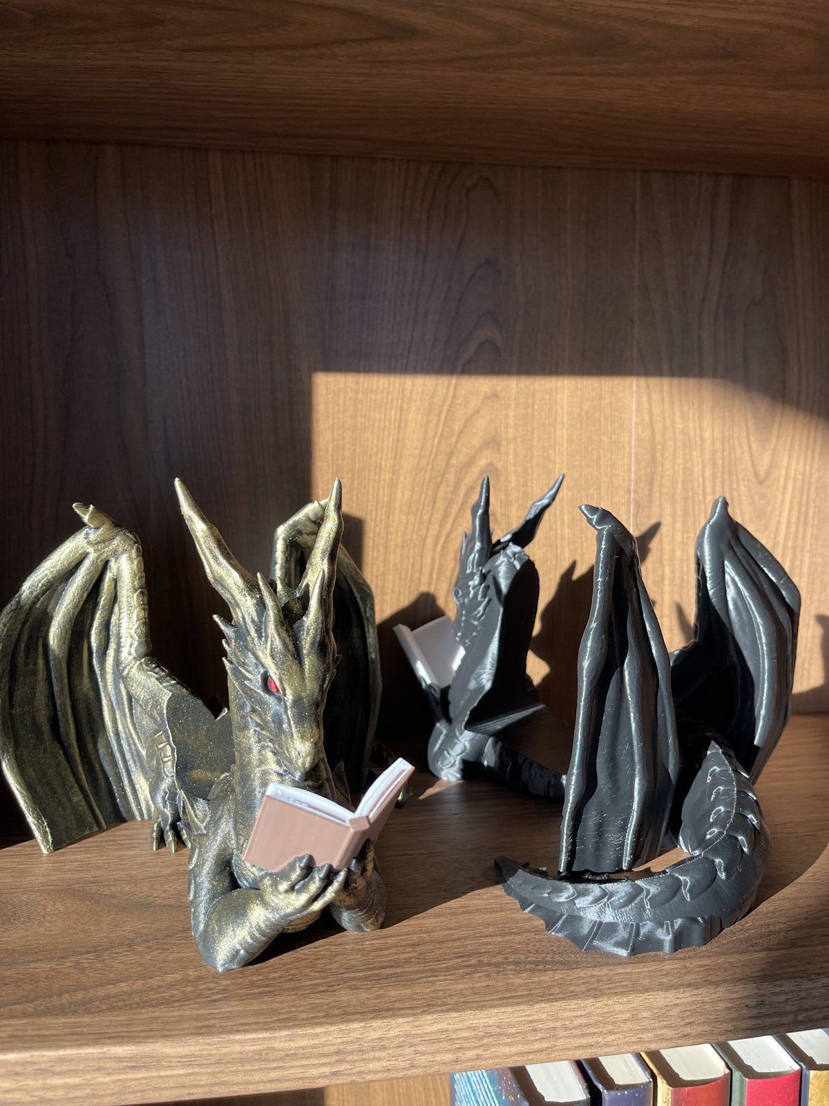 Knygos stovas „Dragon Reader“