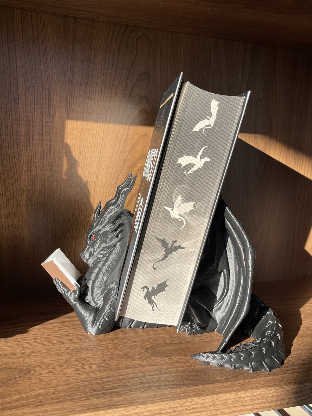 Knygos stovas „Dragon Reader“