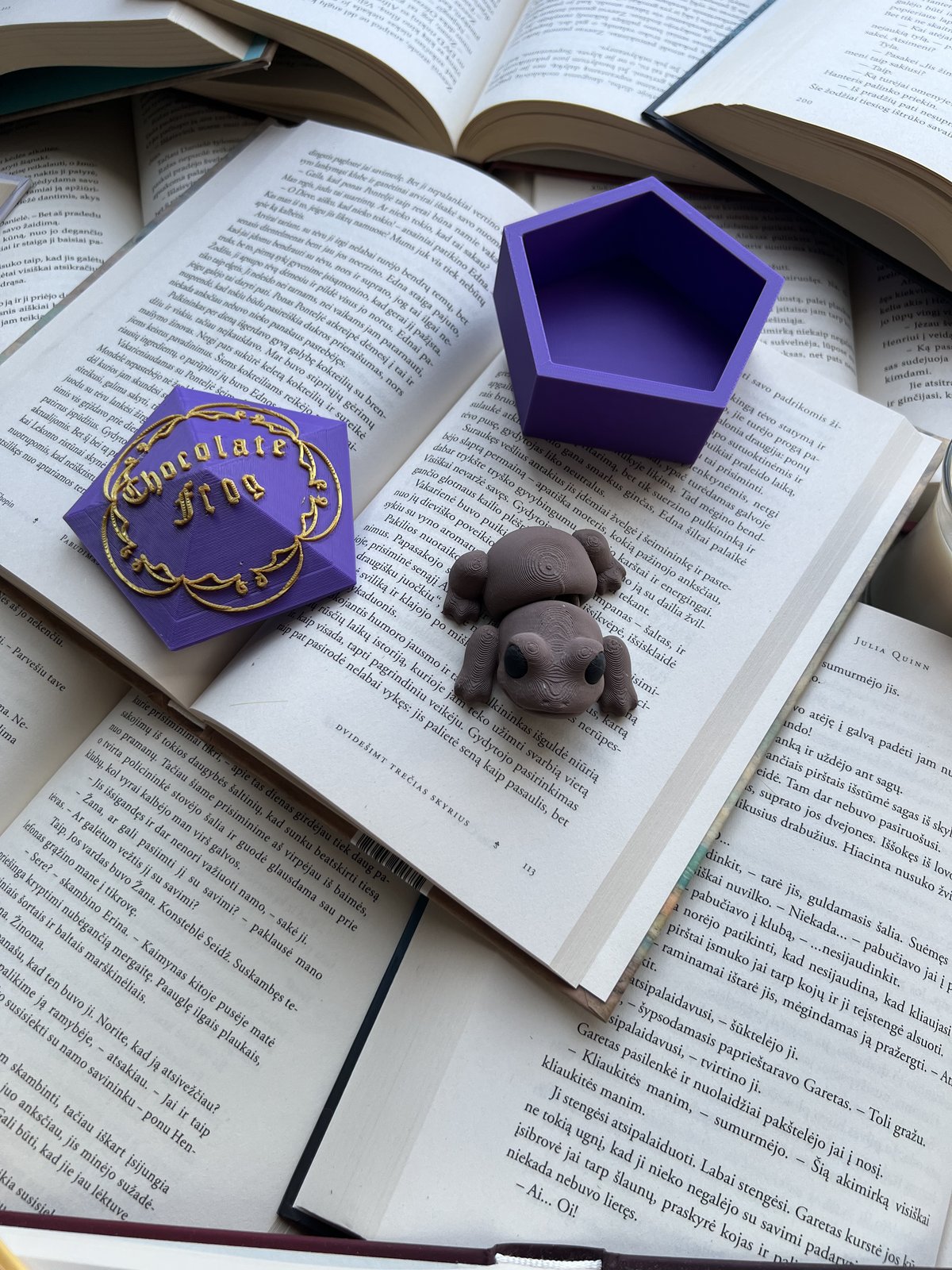 Šokoladinis varliukas su dėžute (Harry Potter)