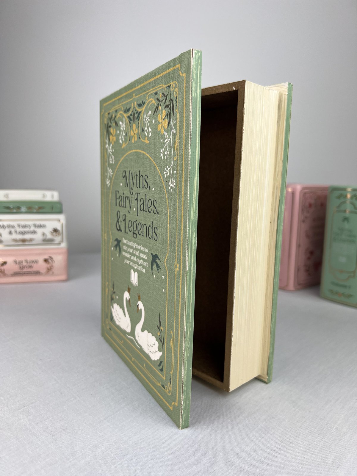 Laikymo dėžutė „Green Book"