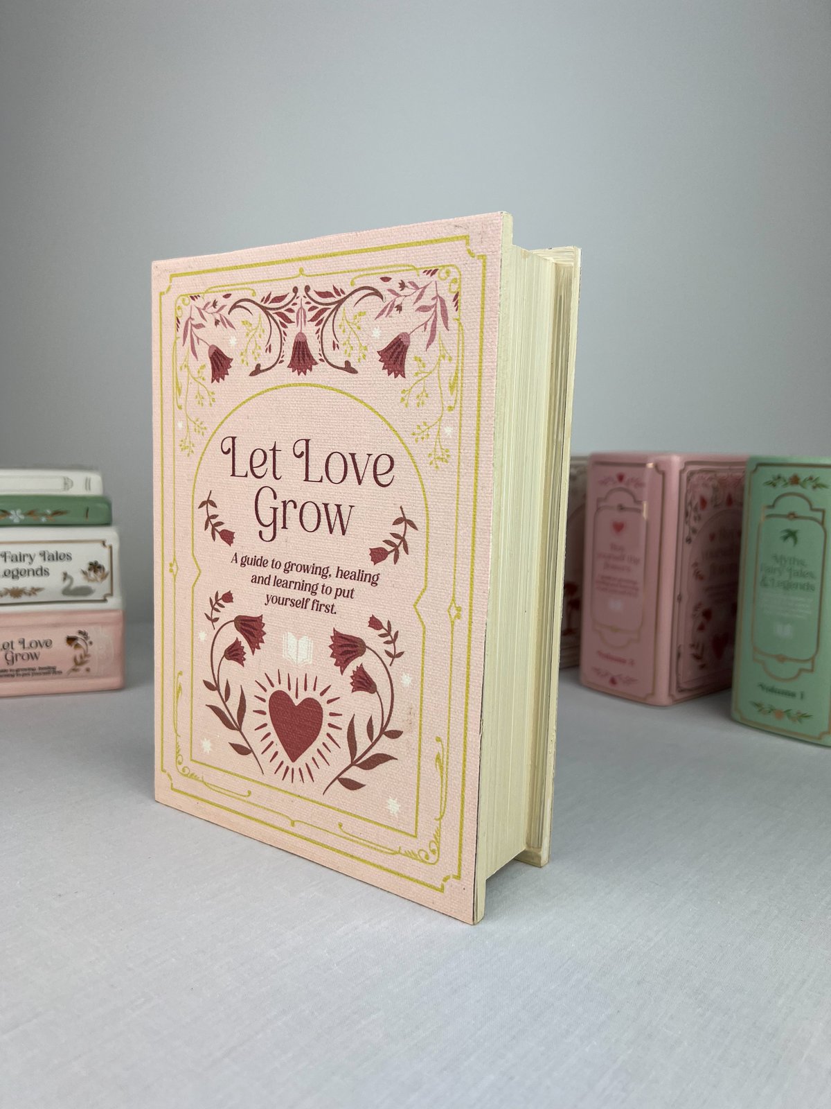 Laikymo dėžutė „Pink Book“