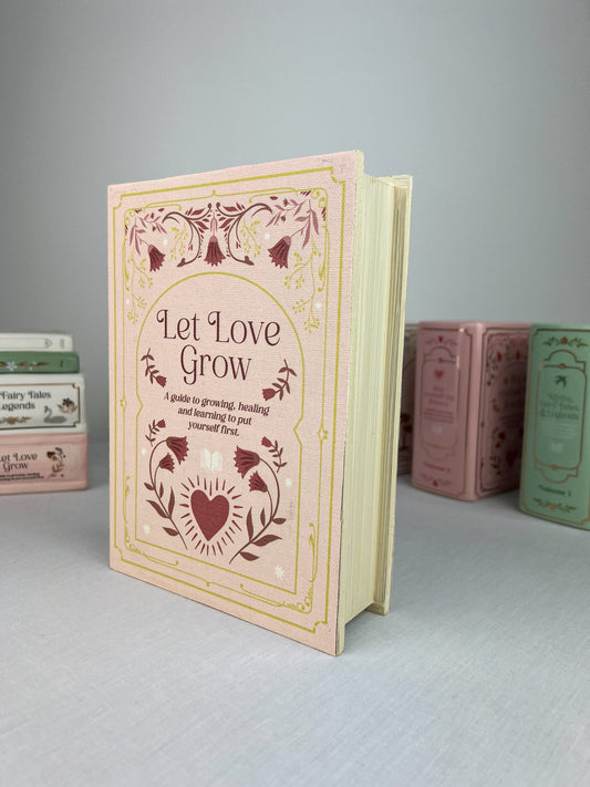 Laikymo dėžutė „Pink Book“