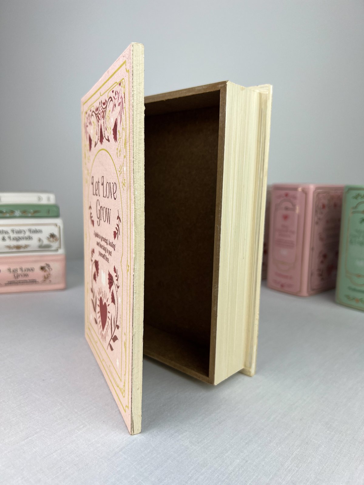 Laikymo dėžutė „Pink Book“