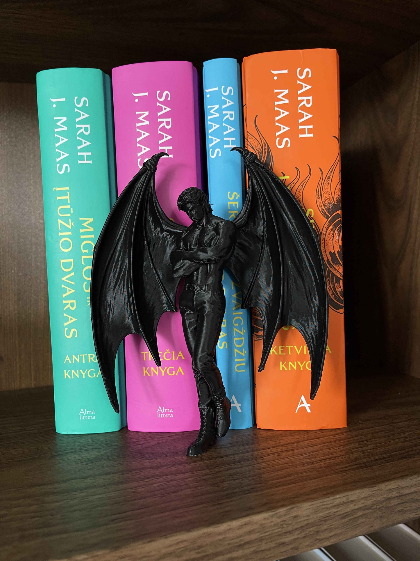 Knygų lentynos dekoracija „ACOTAR Bat Boys“