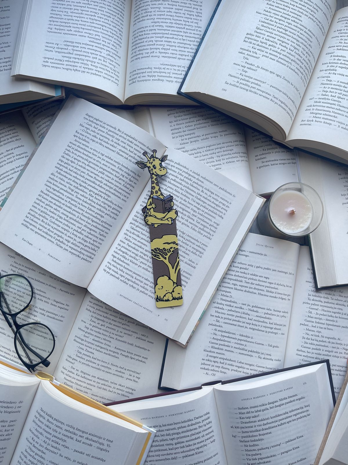 Skirtukas „Little Giraffe with Book“