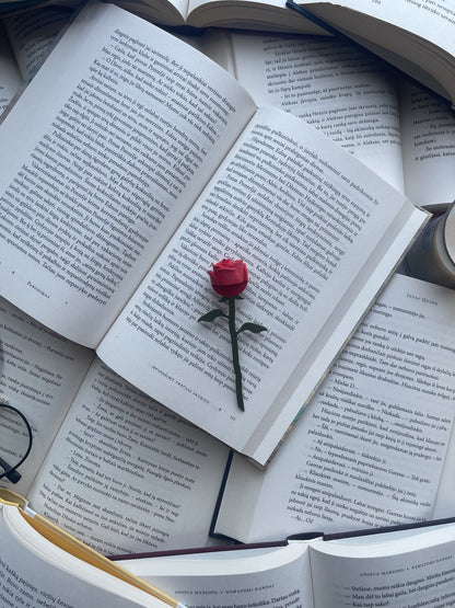 Skirtukas „Rose“