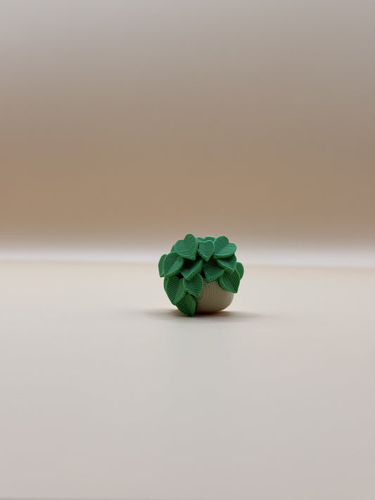 Potted Vines