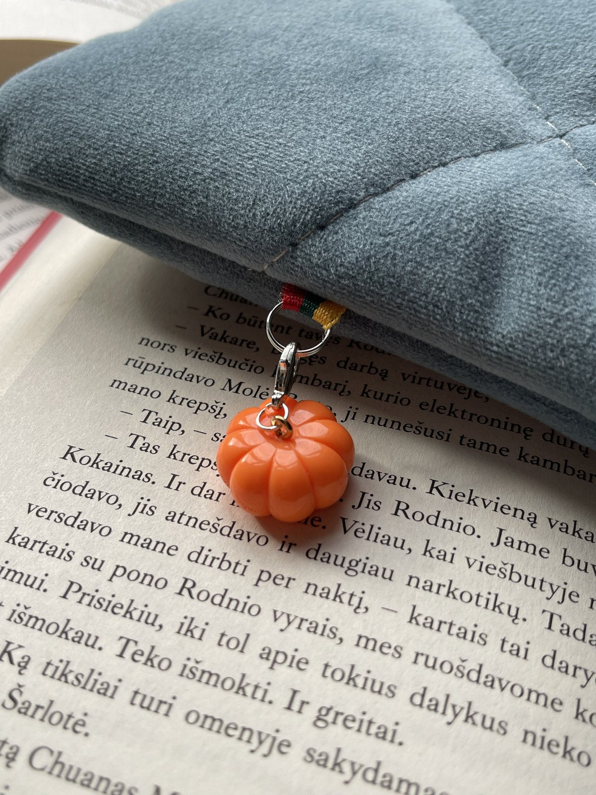 Knygų dėklas + 2 skirtukai (nemokamai)