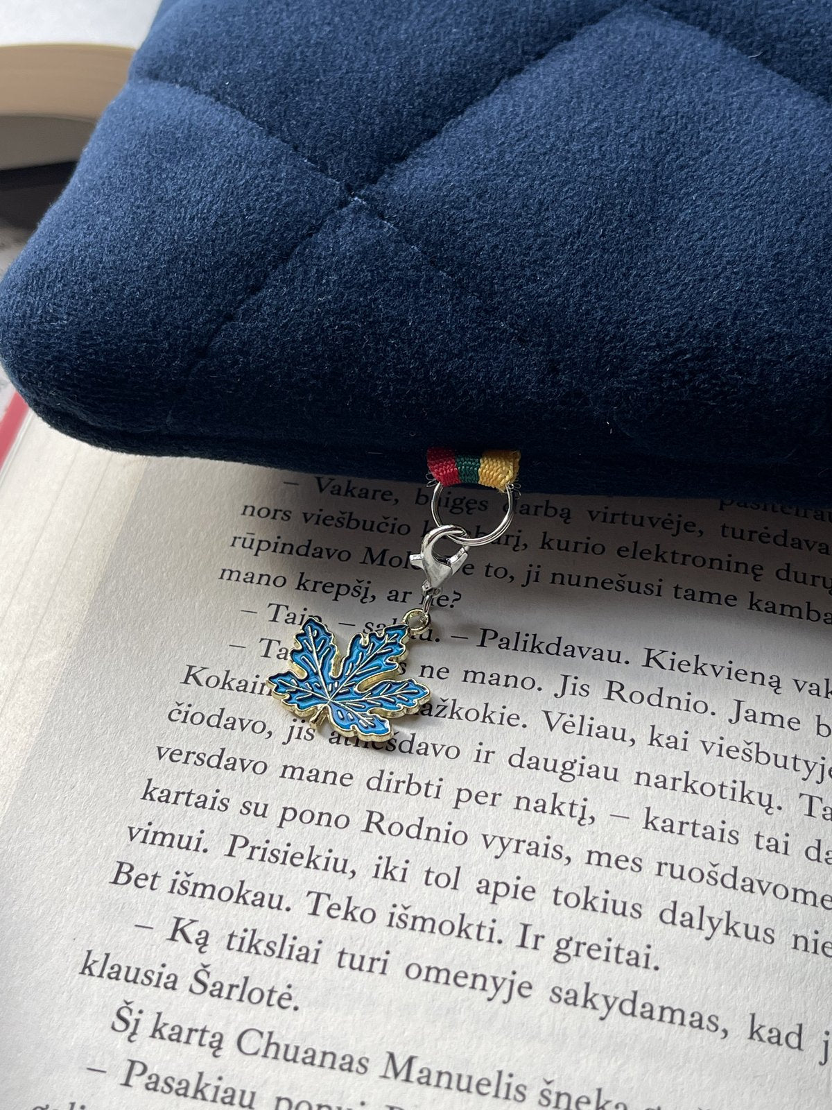 Knygų dėklas + 2 skirtukai (nemokamai)