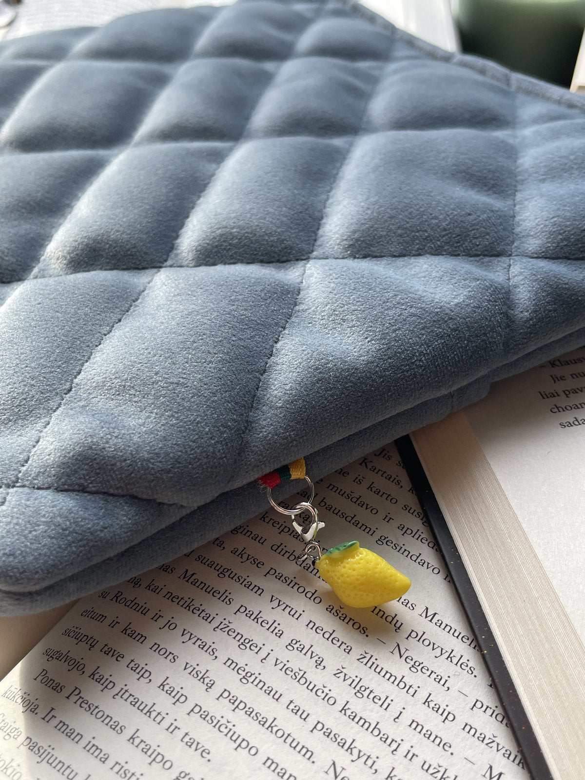 Knygų dėklas + 2 skirtukai (nemokamai)