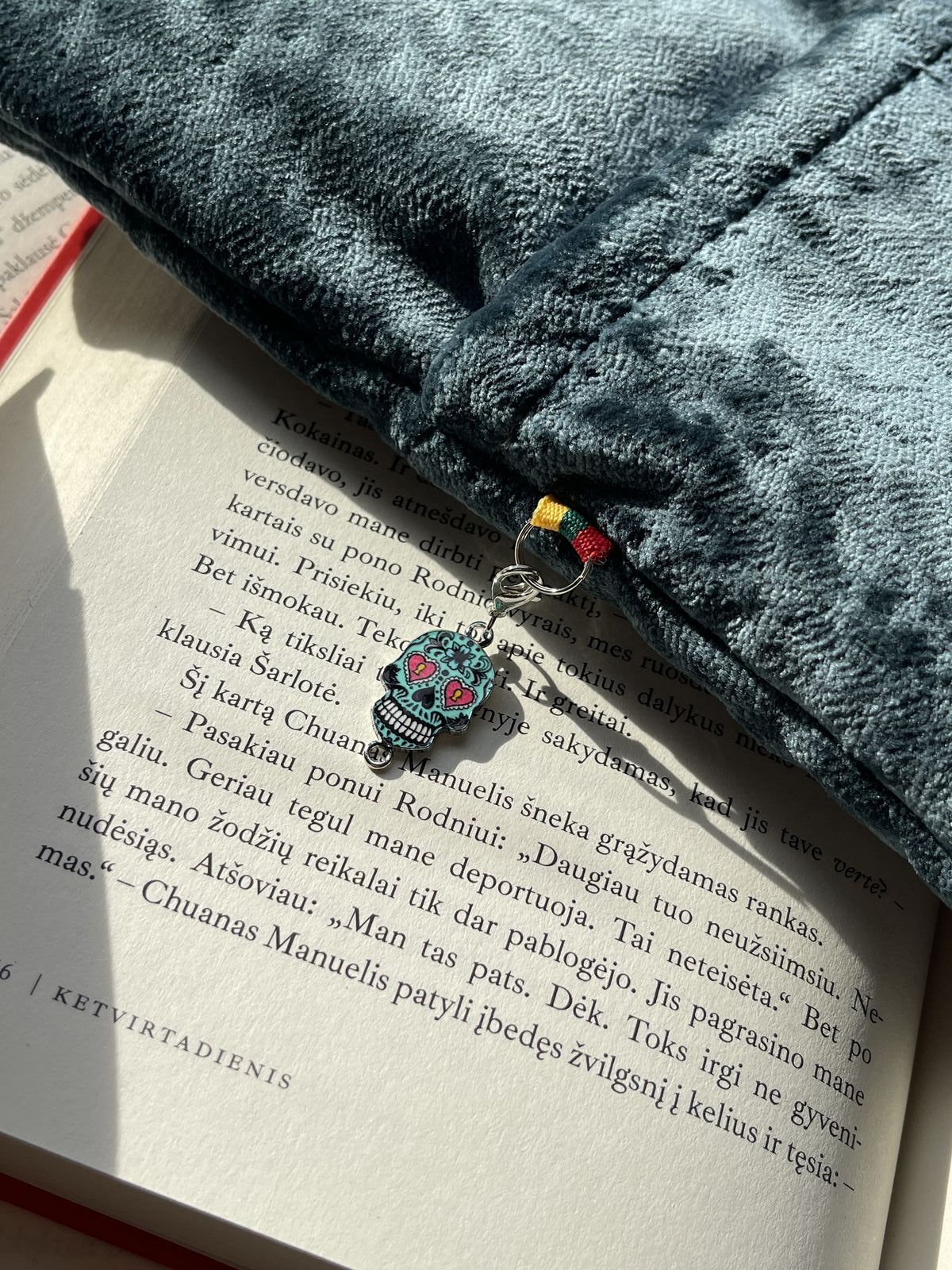 Knygų dėklas + 2 skirtukai (nemokamai)