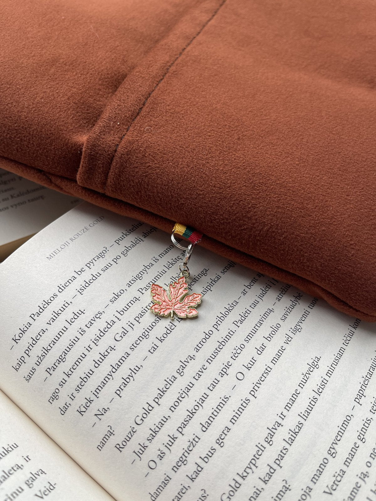 Rudens pasakojimai + 2 skirtukai (nemokamai)