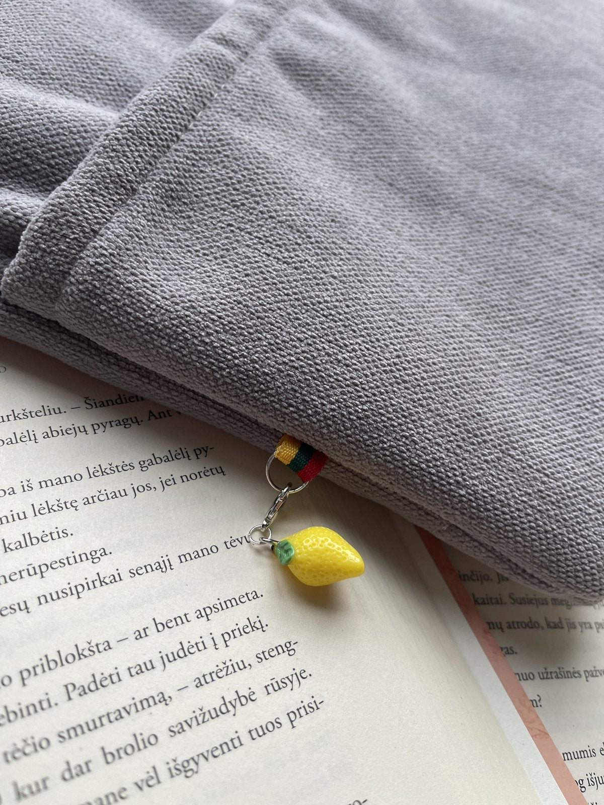 Tylūs skyriai + 2 skirtukai (nemokamai)