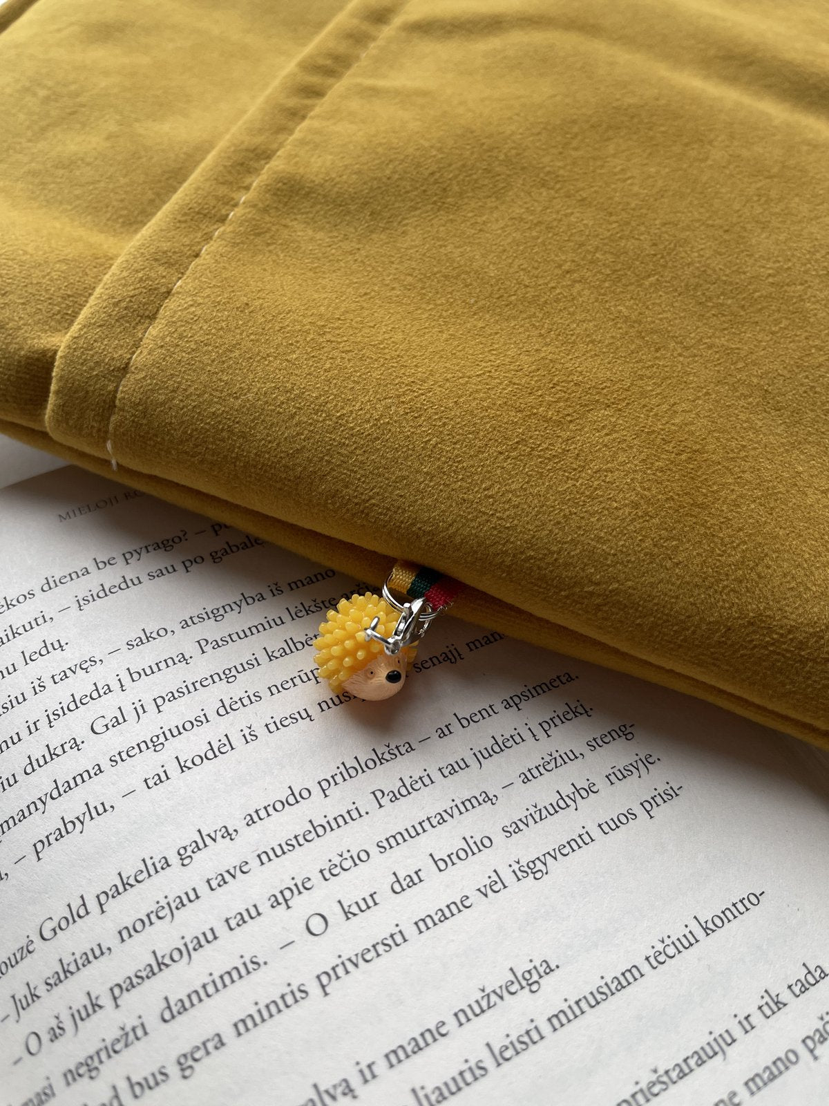 Auksinis skyrius + 2 skirtukai (nemokamai)